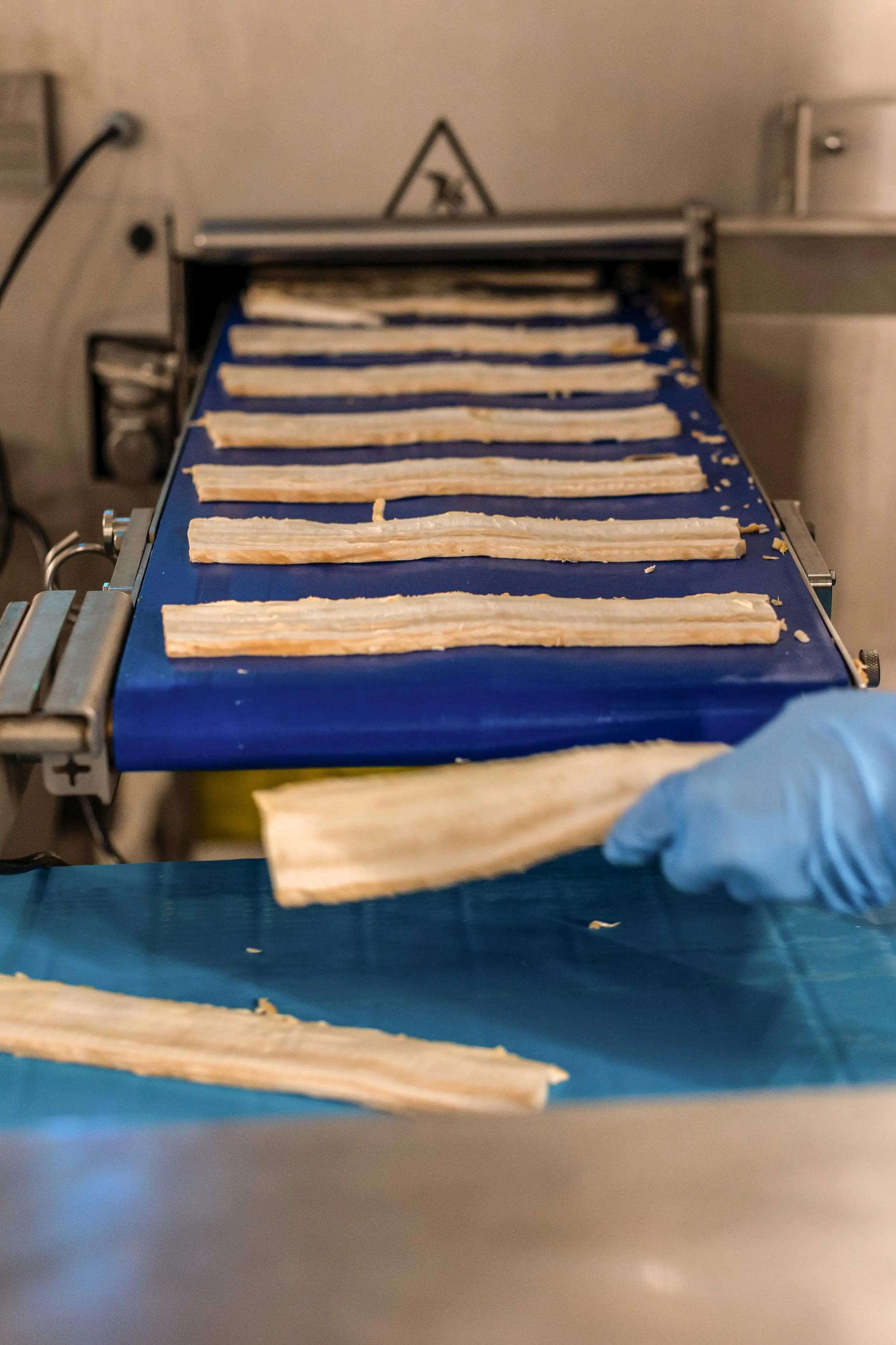 Photo of the mycelium being sliced into MyBacon strips