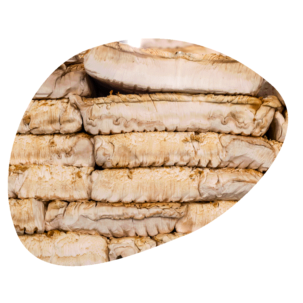 Stacked mycelium slabs