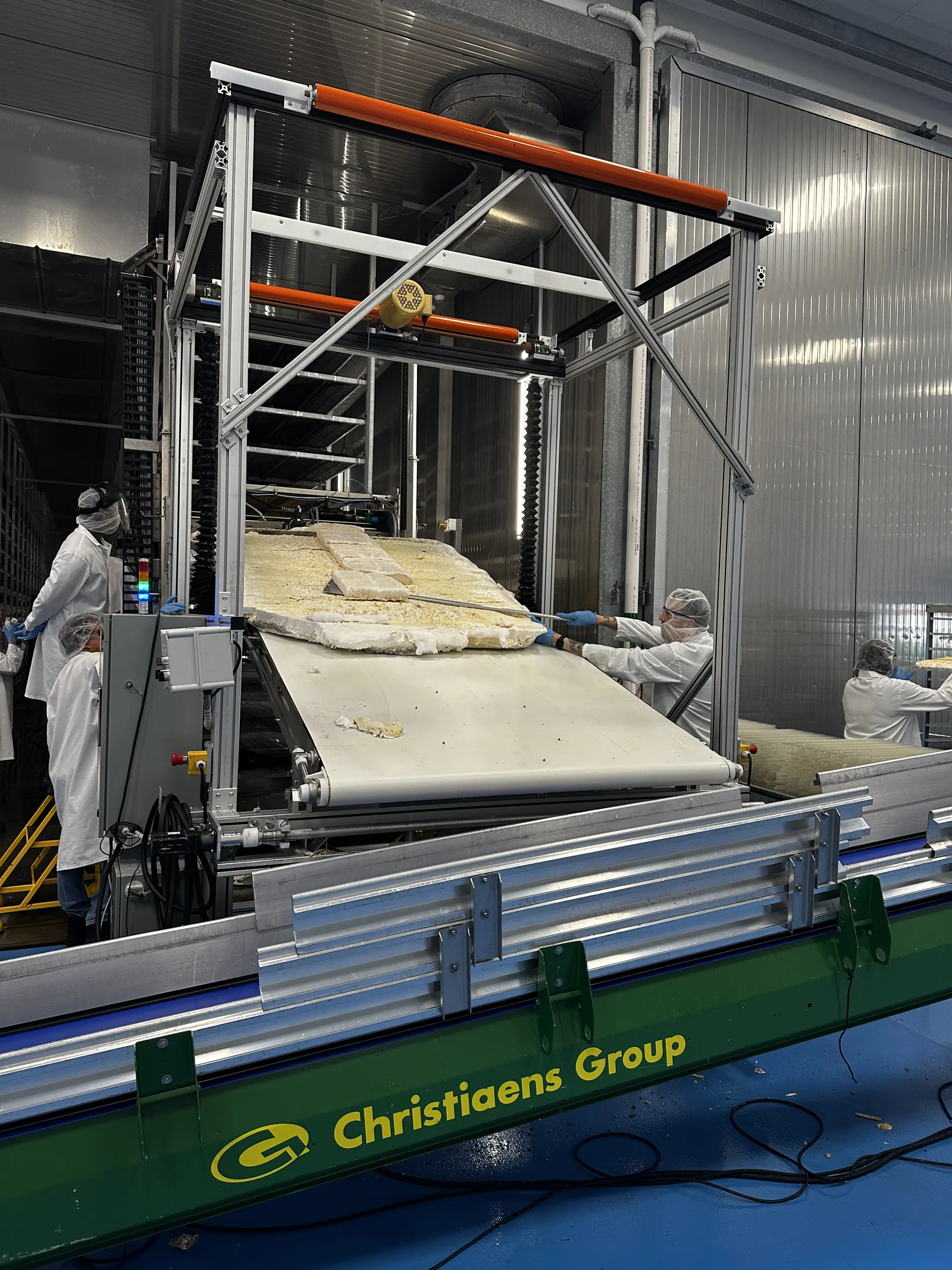 People handling a whole sheet of mycelium at a processing conveyor in 2024
